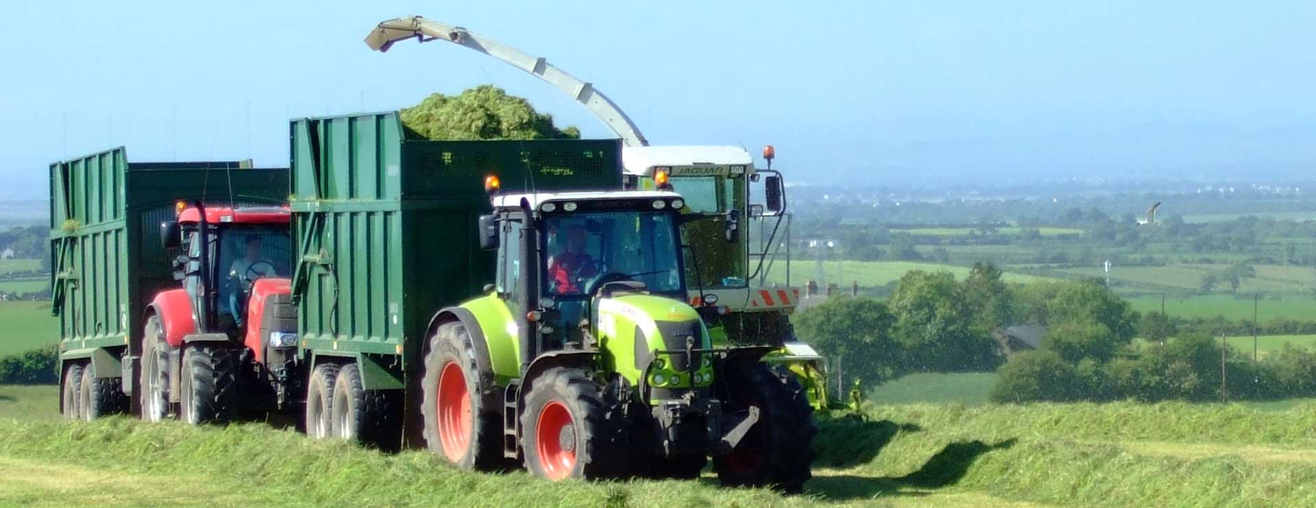 Grassland Management