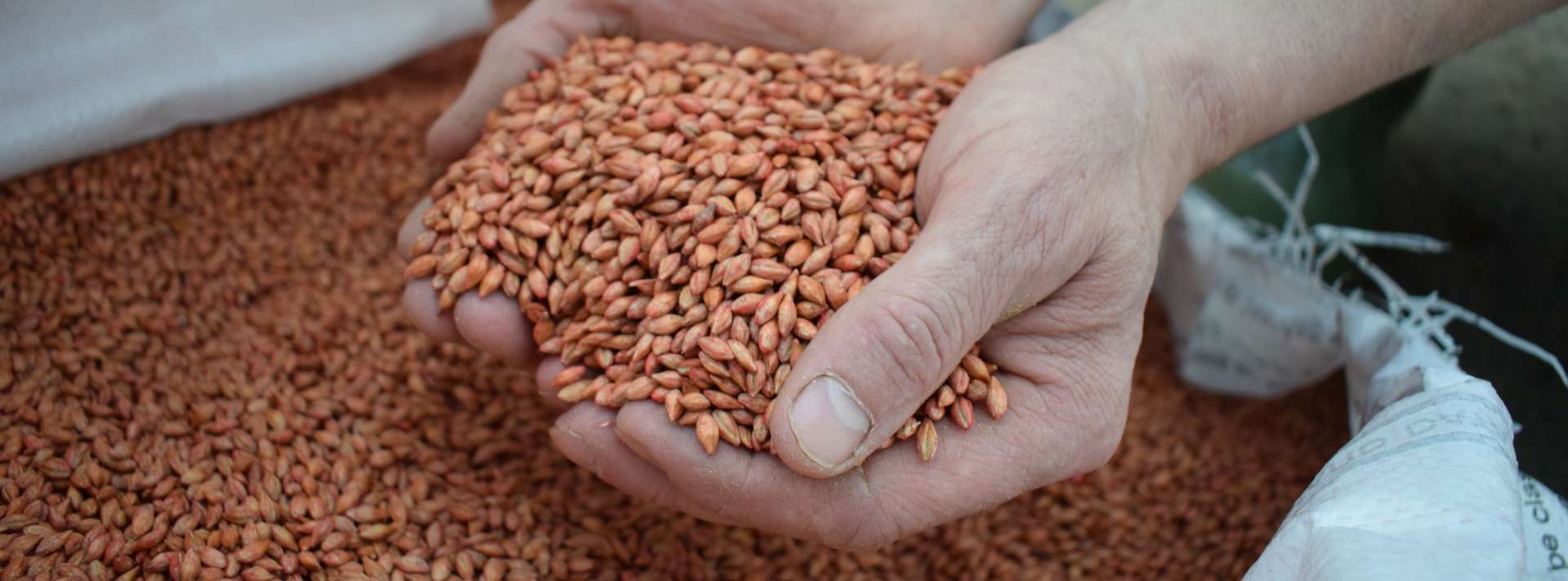 Seed and Crop Rotation Support